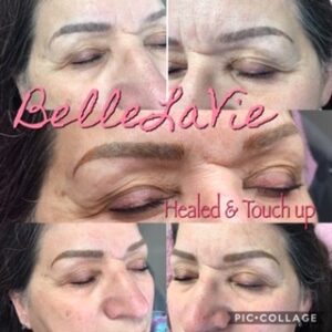 Healed Microblading/Powder Brows 20